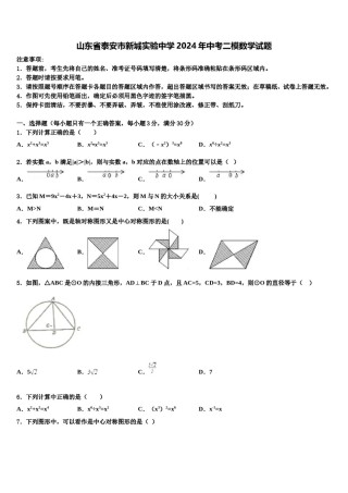 山东省泰安市新城实验中学2024年中考二模数学试题含解析.doc