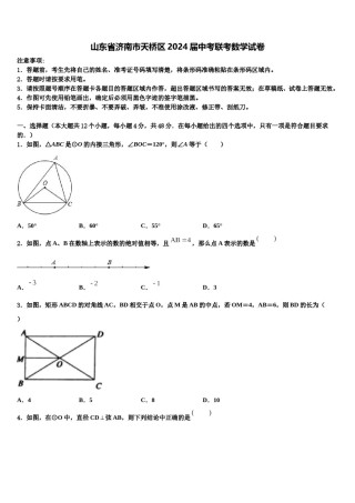 山东省济南市天桥区2024届中考联考数学试卷含解析.doc