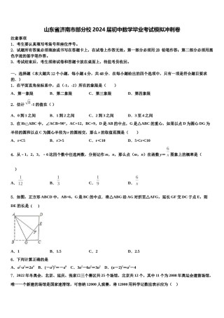 山东省济南市部分校2024届初中数学毕业考试模拟冲刺卷含解析.doc