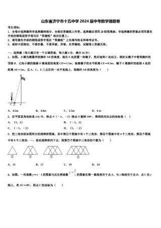 山东省济宁市十五中学2024届中考数学猜题卷含解析.doc