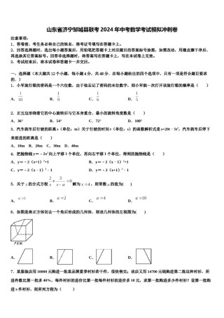 山东省济宁邹城县联考2024年中考数学考试模拟冲刺卷含解析.doc
