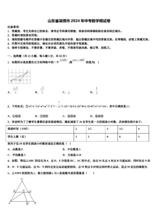 山东省淄博市2024年中考数学模试卷含解析.doc