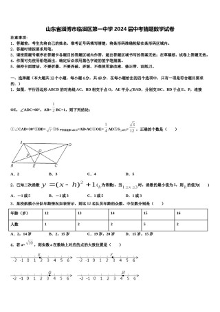 山东省淄博市临淄区第一中学2024届中考猜题数学试卷含解析.doc