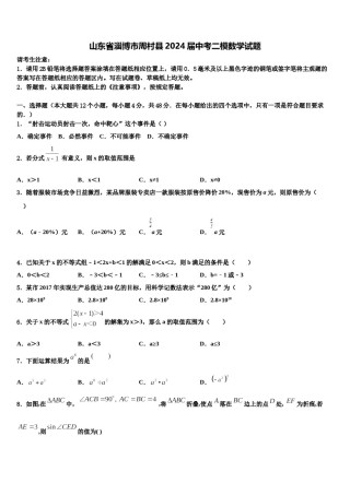 山东省淄博市周村县2024届中考二模数学试题含解析.doc