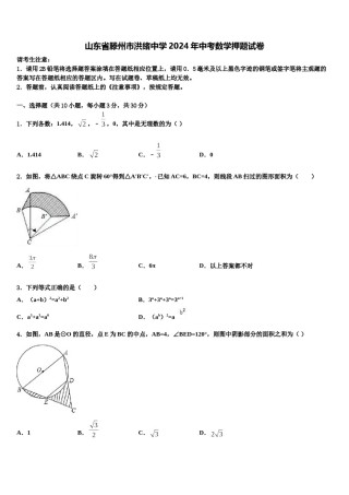 山东省滕州市洪绪中学2024年中考数学押题试卷含解析.doc