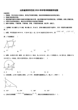 山东省滨州市五校2024年中考冲刺卷数学试题含解析.doc