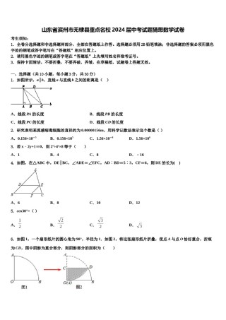 山东省滨州市无棣县重点名校2024届中考试题猜想数学试卷含解析.doc