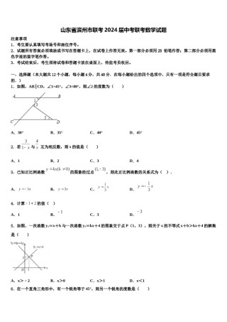 山东省滨州市联考2024届中考联考数学试题含解析.doc