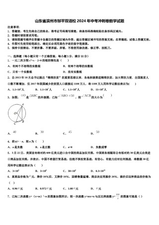 山东省滨州市邹平双语校2024年中考冲刺卷数学试题含解析.doc