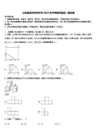 山东省滨州市邹平市2024年中考数学最后一模试卷含解析.doc