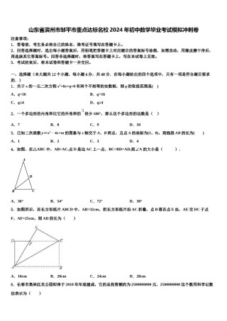 山东省滨州市邹平市重点达标名校2024年初中数学毕业考试模拟冲刺卷含解析.doc