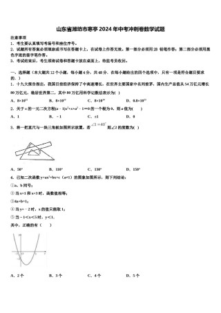 山东省潍坊市寒亭2024年中考冲刺卷数学试题含解析.doc