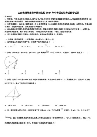 山东省潍坊市寒亭达标名校2024年中考适应性考试数学试题含解析.doc