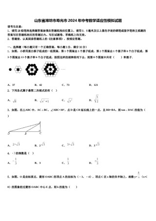 山东省潍坊市寿光市2024年中考数学适应性模拟试题含解析.doc
