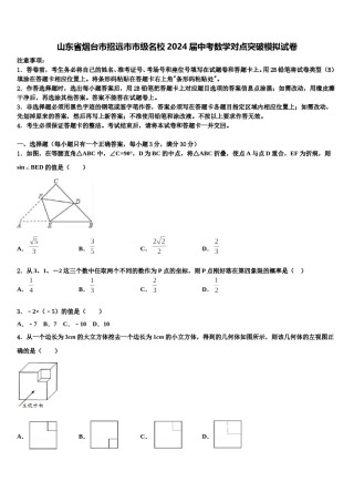 山东省烟台市招远市市级名校2024届中考数学对点突破模拟试卷含解析.doc