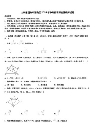 山东省烟台市莱山区2024年中考数学适应性模拟试题含解析.doc