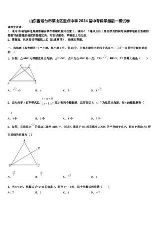 山东省烟台市莱山区重点中学2024届中考数学最后一模试卷含解析.doc