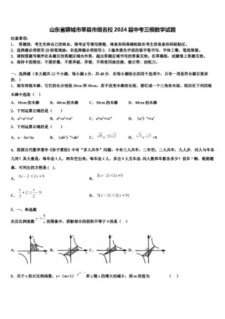 山东省聊城市莘县市级名校2024届中考三模数学试题含解析.doc