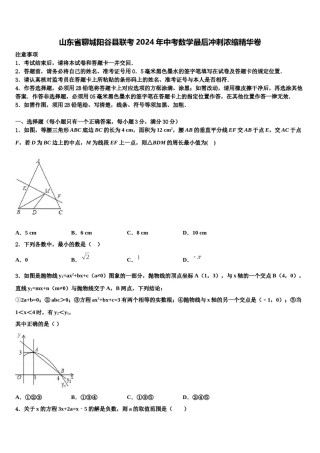 山东省聊城阳谷县联考2024年中考数学最后冲刺浓缩精华卷含解析.doc