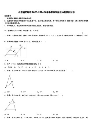 山东省肥城市2023-2024学年中考数学最后冲刺模拟试卷含解析.doc