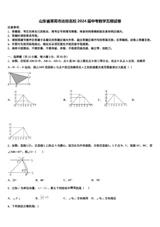 山东省莱芜市达标名校2024届中考数学五模试卷含解析.doc