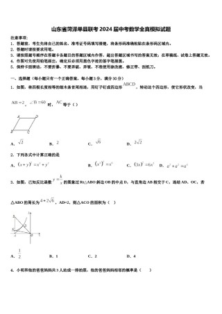 山东省菏泽单县联考2024届中考数学全真模拟试题含解析.doc