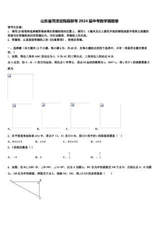 山东省菏泽定陶县联考2024届中考数学猜题卷含解析.doc