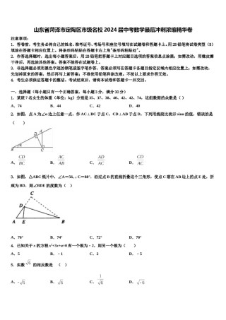 山东省菏泽市定陶区市级名校2024届中考数学最后冲刺浓缩精华卷含解析.doc