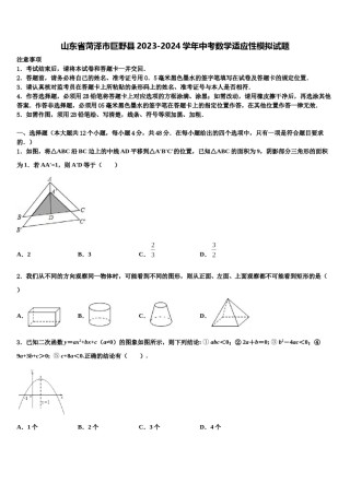 山东省菏泽市巨野县2023-2024学年中考数学适应性模拟试题含解析.doc