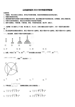 山东省邹城市2024年中考数学押题卷含解析.doc