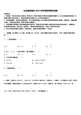 山东省邹城市2024年中考联考数学试题含解析.doc