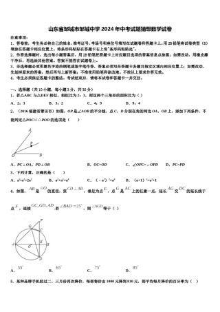 山东省邹城市邹城中学2024年中考试题猜想数学试卷含解析.doc