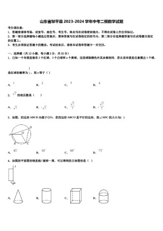 山东省邹平县2023-2024学年中考二模数学试题含解析.doc