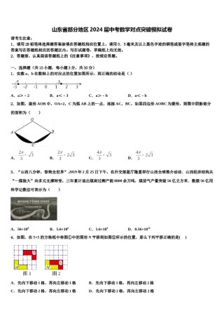 山东省部分地区2024届中考数学对点突破模拟试卷含解析.doc