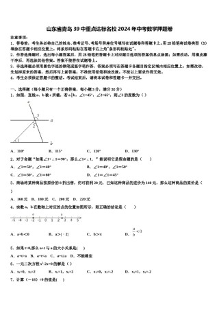 山东省青岛39中重点达标名校2024年中考数学押题卷含解析.doc