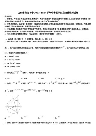 山东省青岛4中2023-2024学年中考数学对点突破模拟试卷含解析.doc