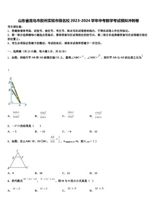 山东省青岛市胶州实验市级名校2023-2024学年中考数学考试模拟冲刺卷含解析.doc