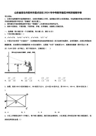 山东省青岛市胶州市重点名校2024年中考数学最后冲刺浓缩精华卷含解析.doc