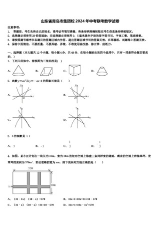山东省青岛市集团校2024年中考联考数学试卷含解析.doc