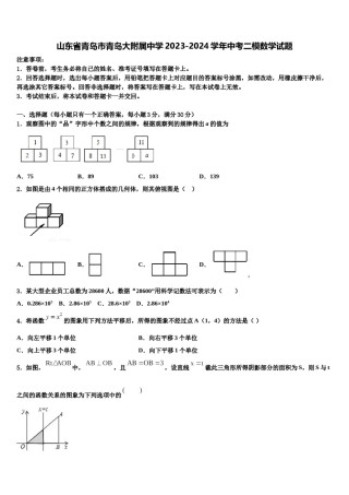 山东省青岛市青岛大附属中学2023-2024学年中考二模数学试题含解析.doc
