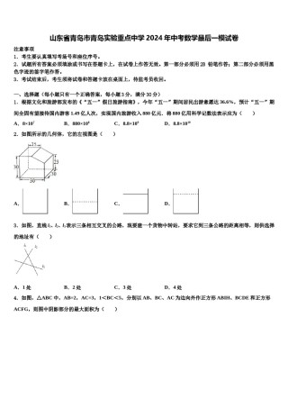 山东省青岛市青岛实验重点中学2024年中考数学最后一模试卷含解析.doc