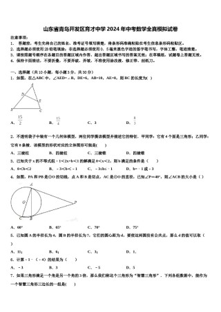 山东省青岛开发区育才中学2024年中考数学全真模拟试卷含解析.doc