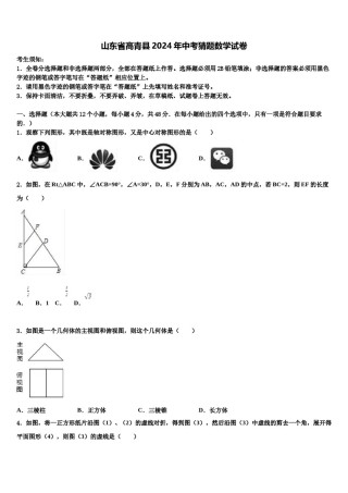 山东省高青县2024年中考猜题数学试卷含解析.doc
