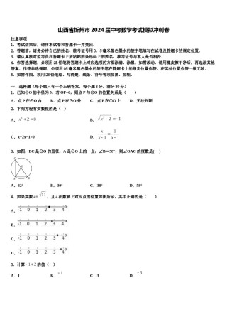 山西省忻州市2024届中考数学考试模拟冲刺卷含解析.doc