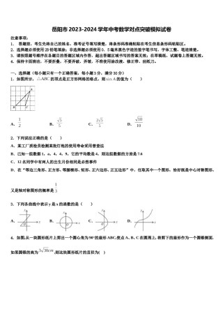 岳阳市2023-2024学年中考数学对点突破模拟试卷含解析.doc