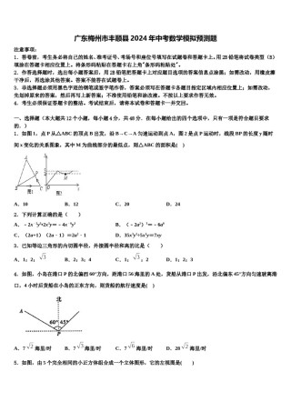广东梅州市丰顺县2024年中考数学模拟预测题含解析.doc