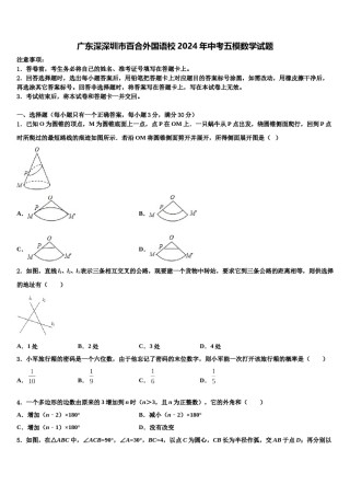 广东深深圳市百合外国语校2024年中考五模数学试题含解析.doc