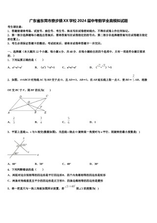广东省东莞市寮步镇XX学校2024届中考数学全真模拟试题含解析.doc