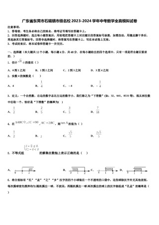 广东省东莞市石碣镇市级名校2023-2024学年中考数学全真模拟试卷含解析.doc