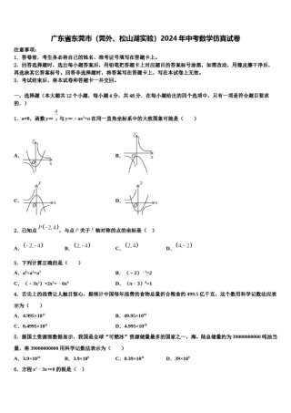 广东省东莞市（莞外、松山湖实验）2024年中考数学仿真试卷含解析.doc